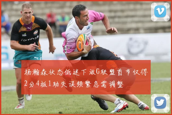 杨瀚森状态低迷下放G联盟首节仅得2分4板1助失误频繁急需调整