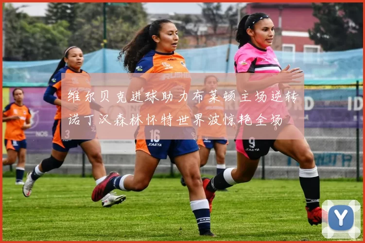 维尔贝克进球助力布莱顿主场逆转诺丁汉森林怀特世界波惊艳全场
