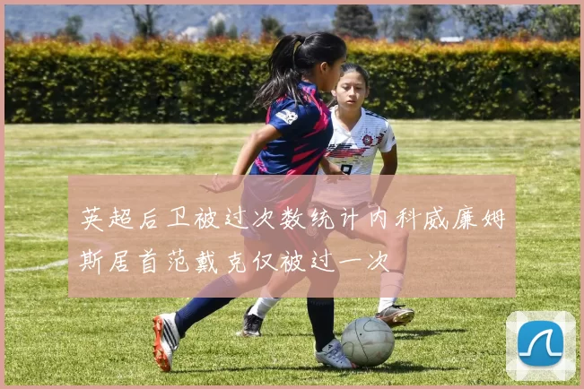 英超后卫被过次数统计内科威廉姆斯居首范戴克仅被过一次