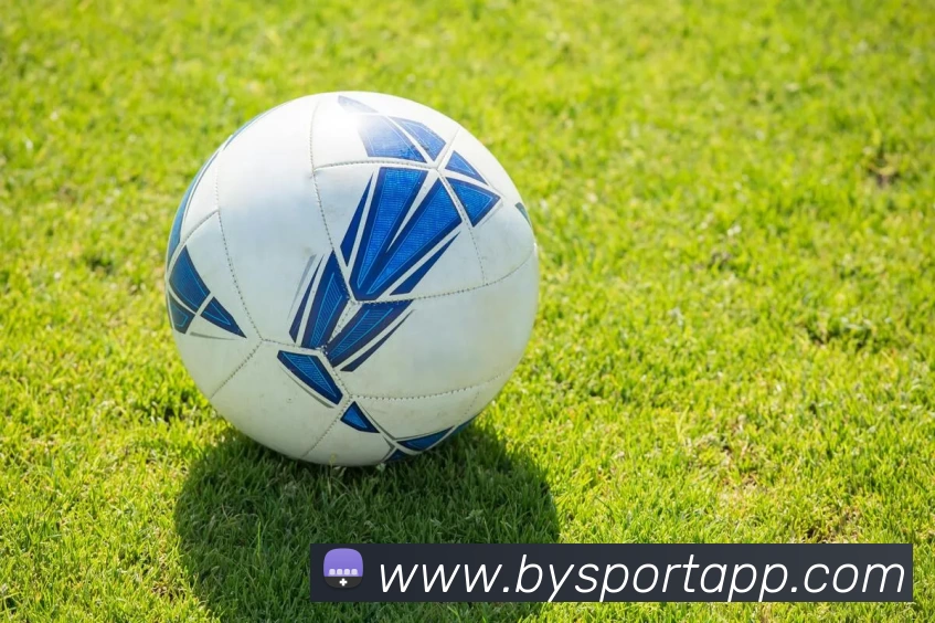 博鱼体育APP平台生态图